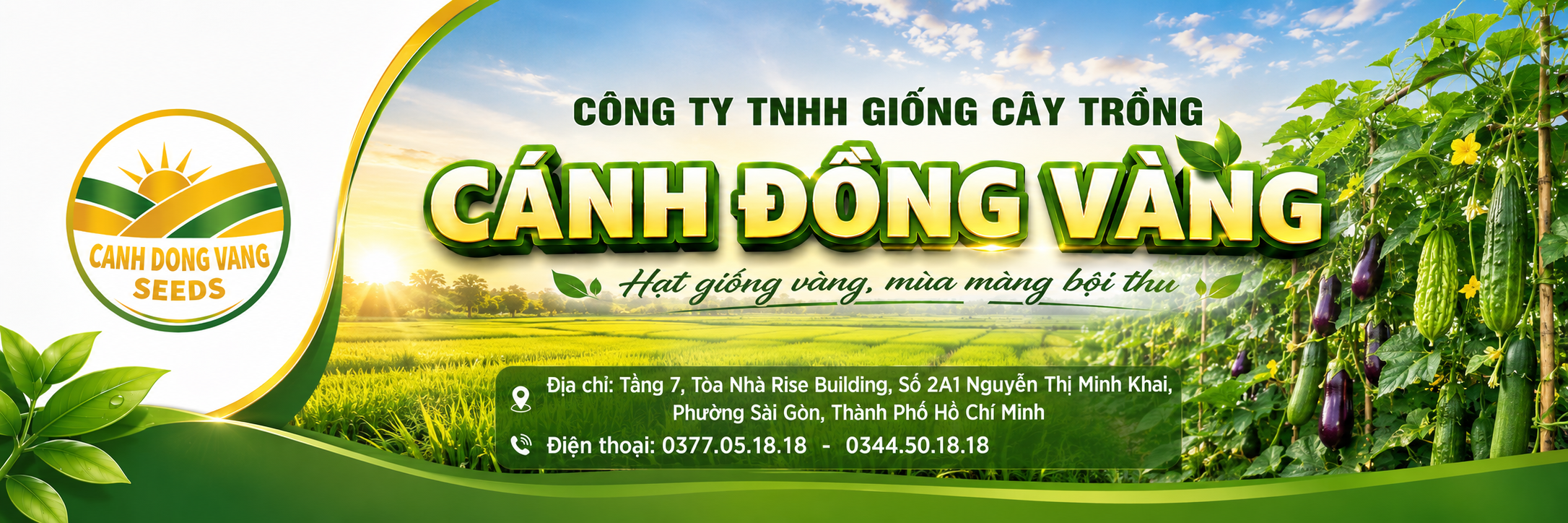 Hạt Giống Cánh Đồng Vàng - Banner Header